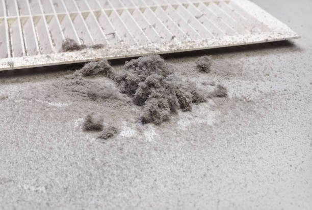 Ventilation Cleaning Services in Hereford, TX