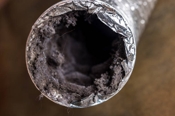 Best Best Air Duct Cleaning Company  in Hereford, TX